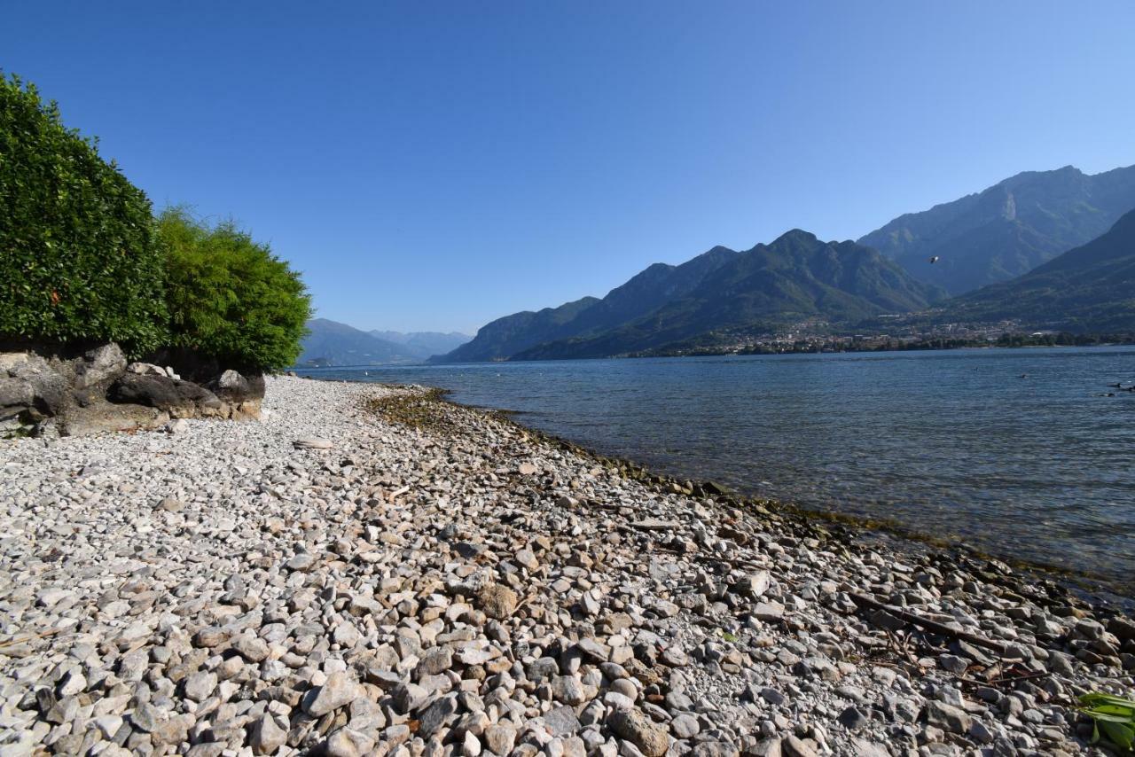 Villa Mimosa Bellagio Wild Flowers Oliveto Lario Dış mekan fotoğraf